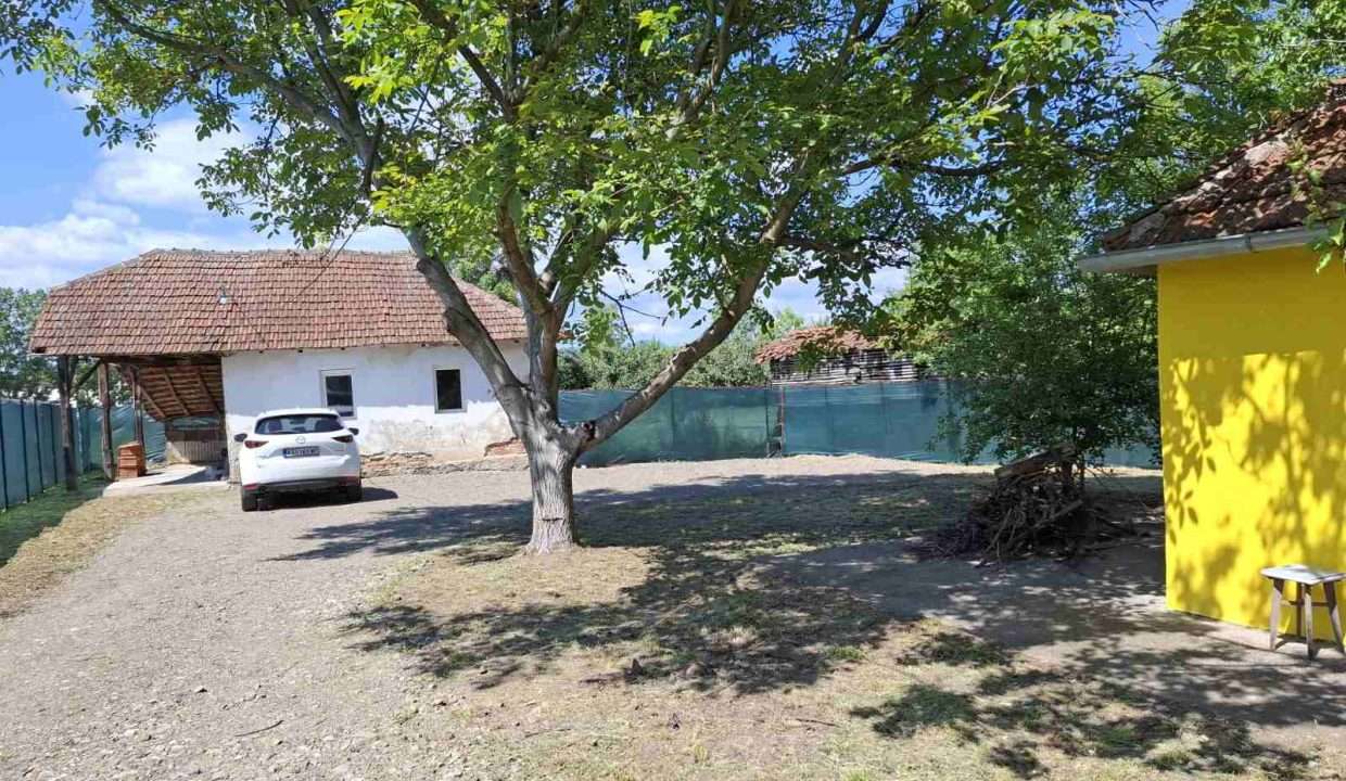 viber_image_2025-05-22_10-06-35-494