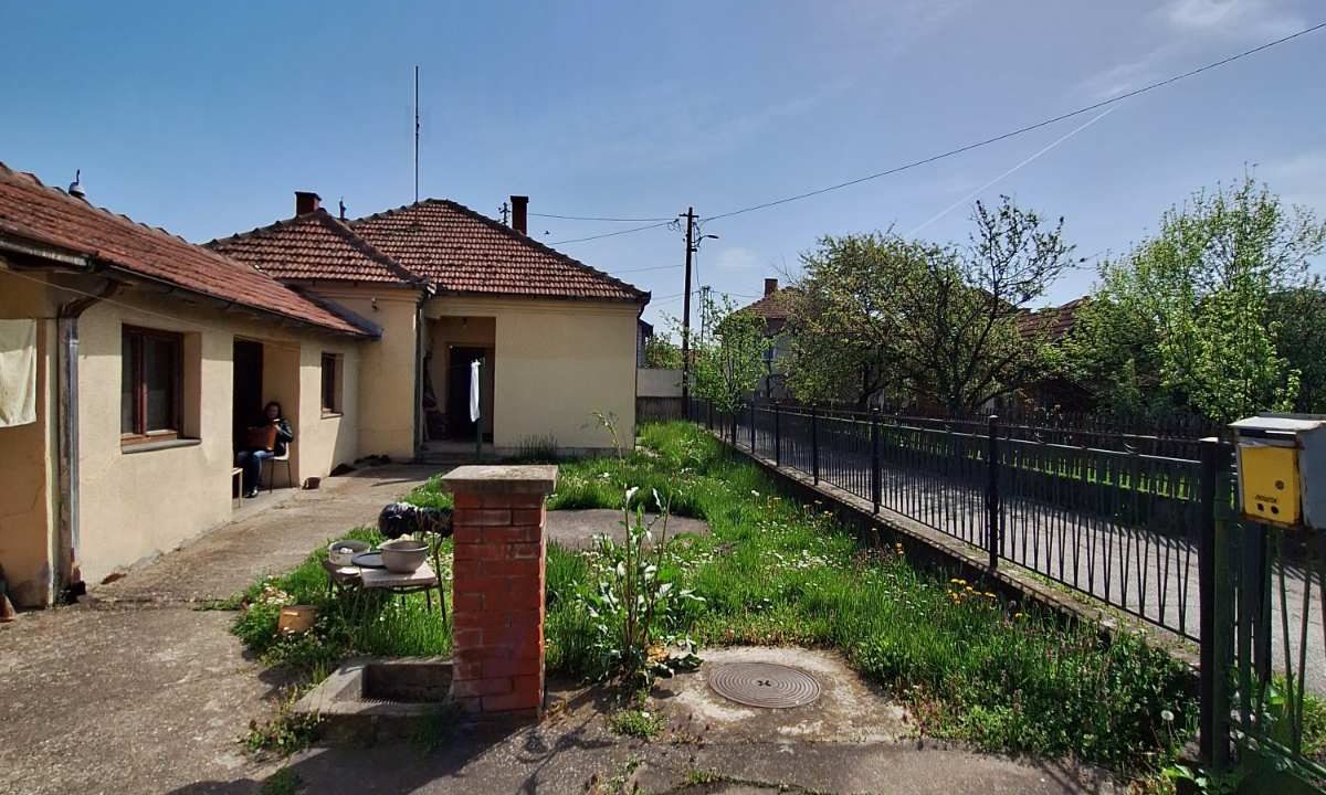 viber_image_2026-04-15_12-14-59-061